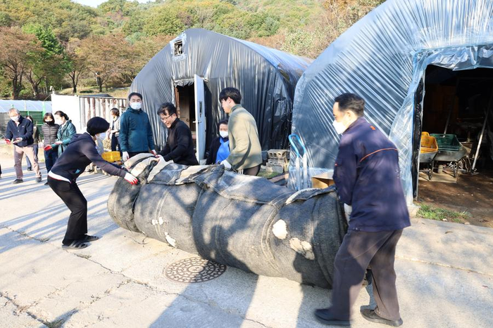 251031_유기농 농장 월동준비_에덴요양병원 -