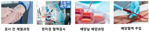 치료과정