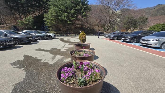 260403_에덴요양병원 식목행사 - 