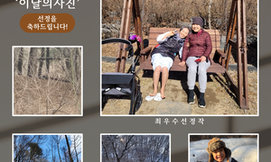 2026년도 2월 포토 콘테스트 선정작