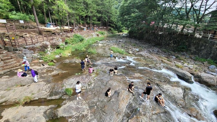 250822_여름엔 비금리계곡 물놀이 ^^_에덴요양병원 - 