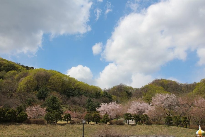 200422_아름답고 푸른 하늘 - 