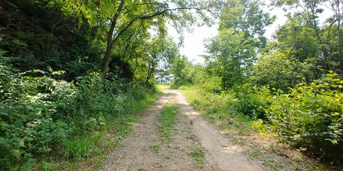 200803_계속 되는 비 때문에 - 