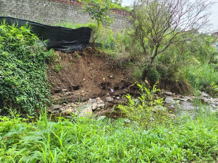 200826_길고 긴 장마의 상흔 - 