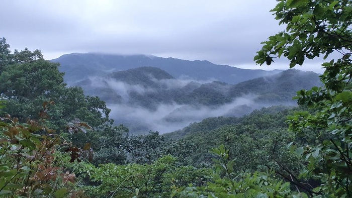 200823_멋진 안개네요 - 