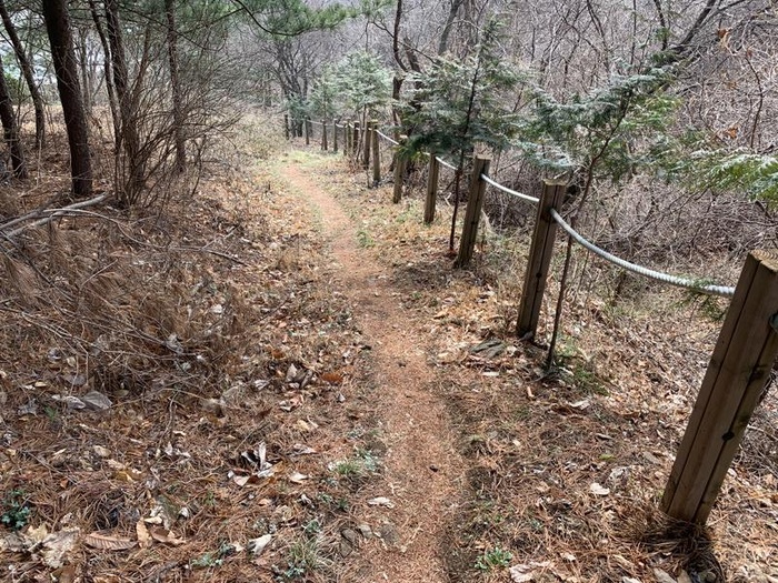 200327_산책로 점검 - 