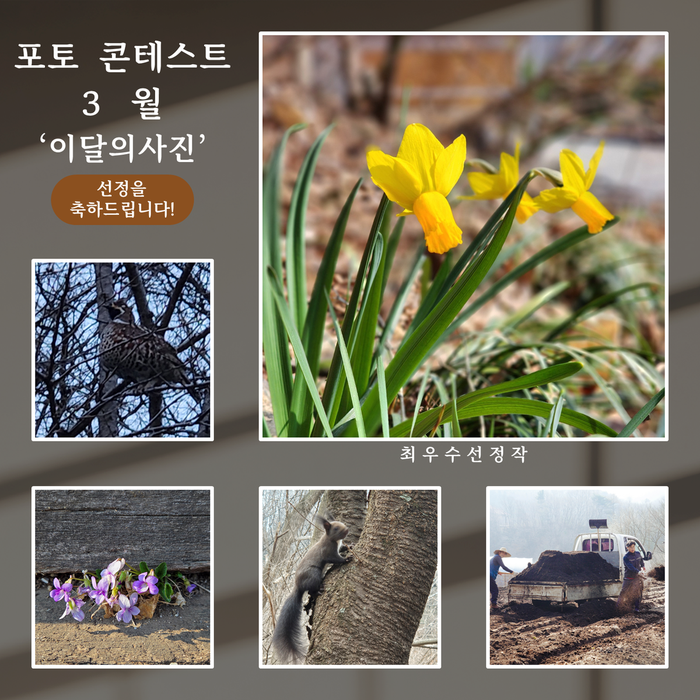 2026년도 3월 포토 콘테스트 선정작 - 