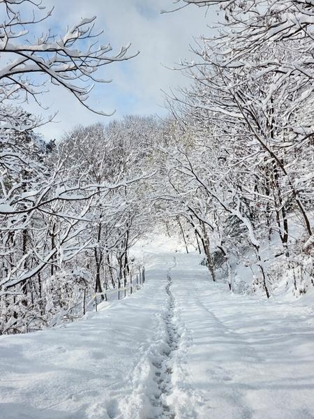 260306_지난 겨울을 추억하며_에덴요양병원 - 