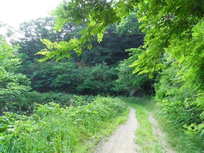 200403_길을 넓히는 사람들! - 