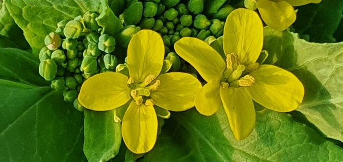 200323_봄이 왔습니다 - 