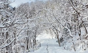 260306_지난 겨울을 추억하며_에덴요양병원