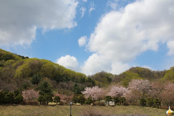 200422_아름답고 푸른 하늘 - 