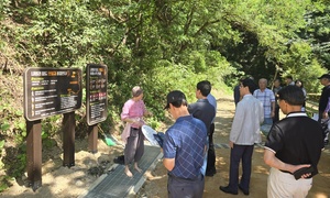 260814_에덴요양병원 산책로 황토 맨발걷기 길  오픈!!!