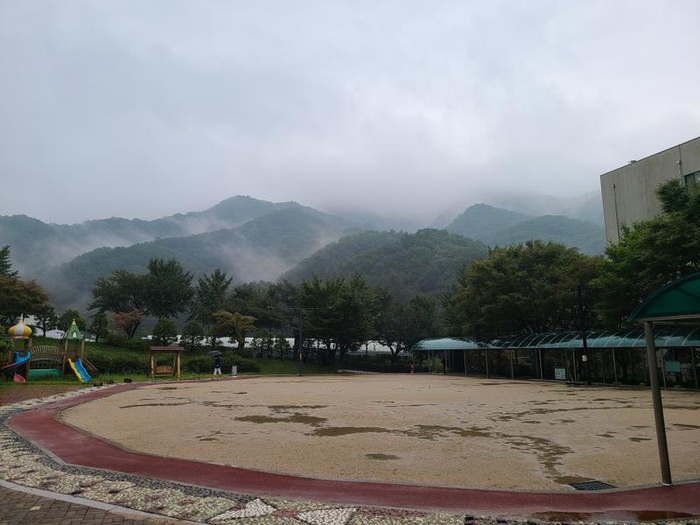 200924_가을비 내린 후  - 