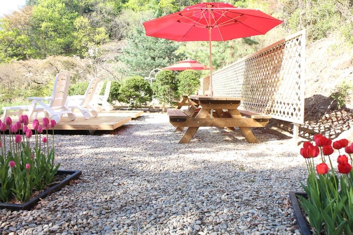 [공지] 에덴 일광욕장 개장 - 