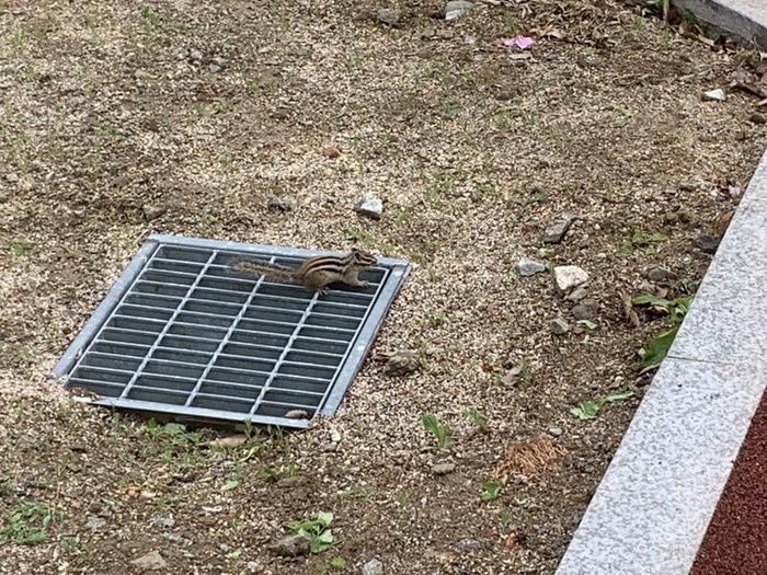 200514_반가운 손님 - 