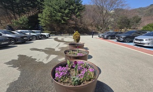 260403_에덴요양병원 식목행사