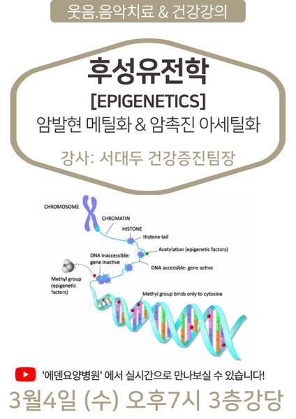 260304_후성유전학: 암발현 메틸화 & 암촉진 아세틸화_에덴요양병원 뉴스타트 건강강의 - 