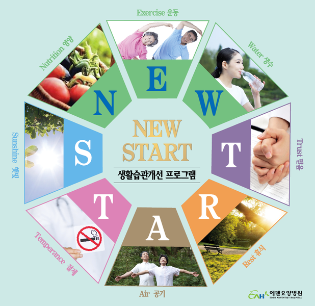 통합 암 치료원리 -