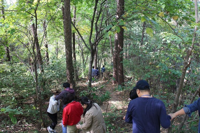 숲 길 체험 - 
