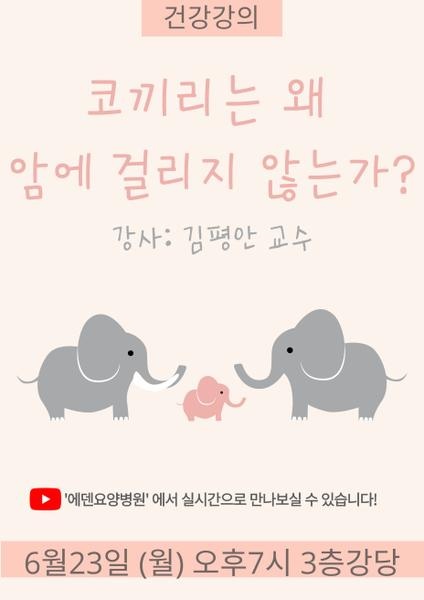 250623_김평안교수의 암시리즈 4.코끼리는 왜 암에 걸리지 않는가?_에덴요양병원 뉴스타트 건강강의 - 