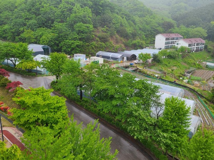 200515_봄에 나는 유기농 채소 - 