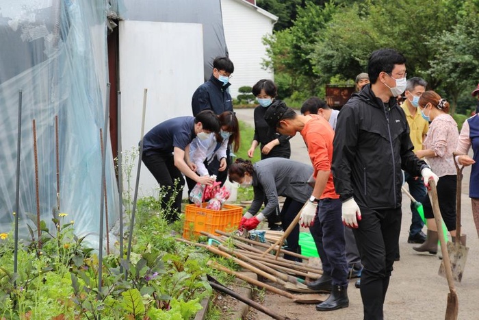 200701_전 직원 병원 진입로 정리 - 