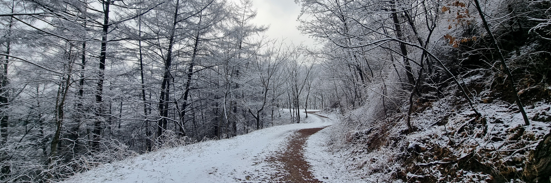 에덴산책로 미리보기
