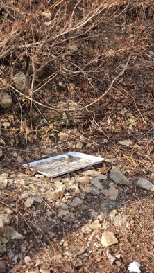 1.자태를 뽑내는 새 - 